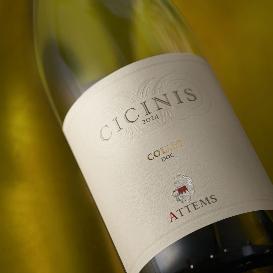 0.ATTEMS CICINIS 2024 emotional vert q