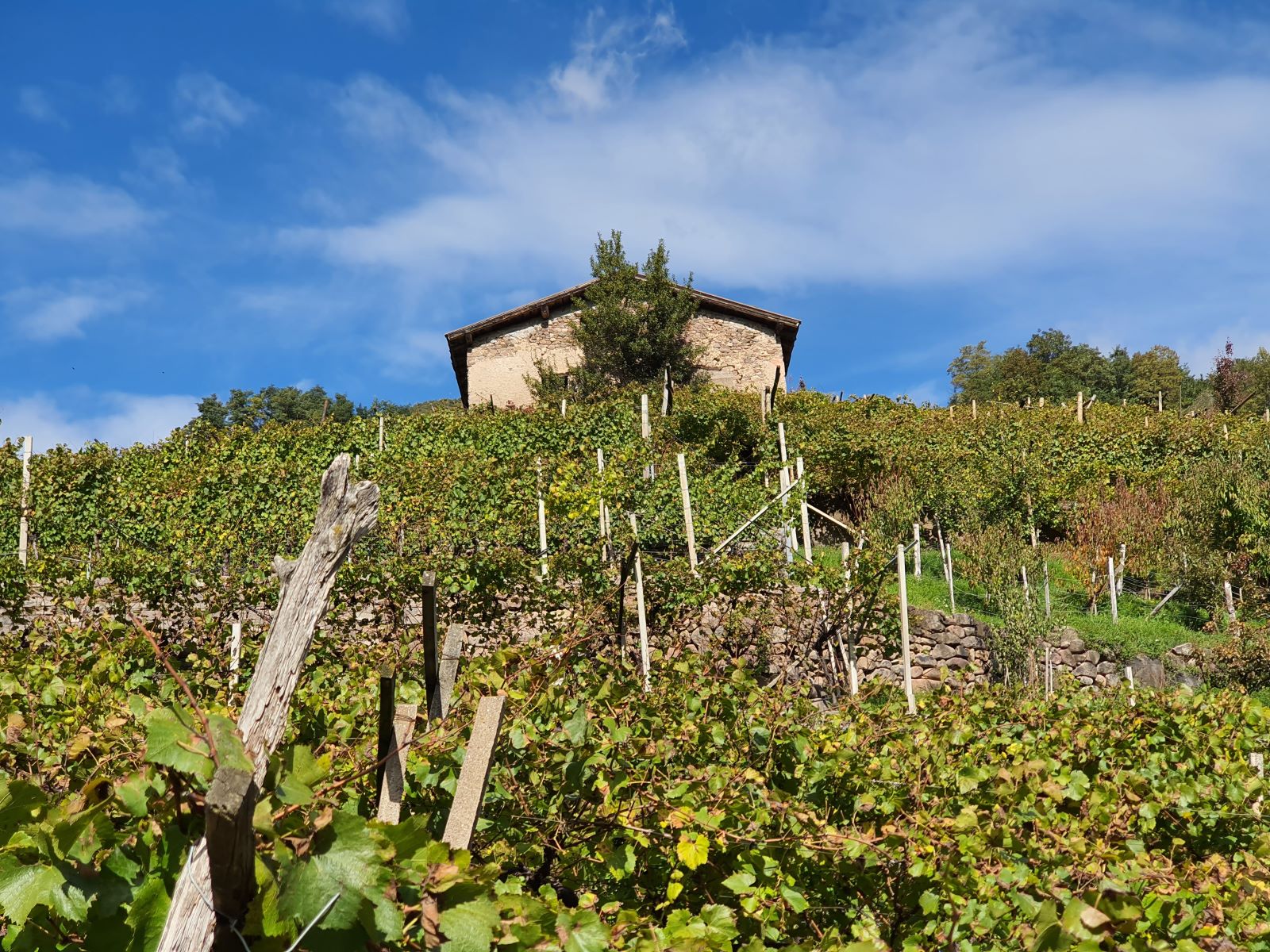 0.Autunno in Val di Cembra ph. Stefania Casagranda lr