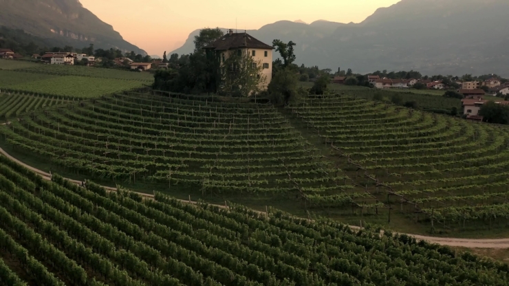 0.BaronLongoAzienda