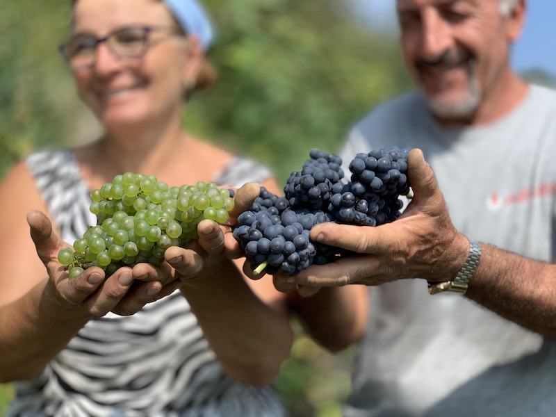 0.CHARDONNAY E PINOT NERO ALTA LANGA