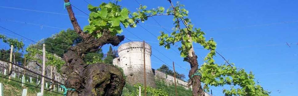 0.Dolce autunno fra i vigneti della provincia di brescia