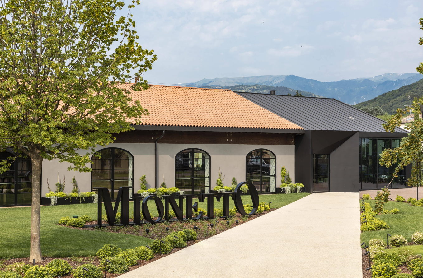 0.Mionetto