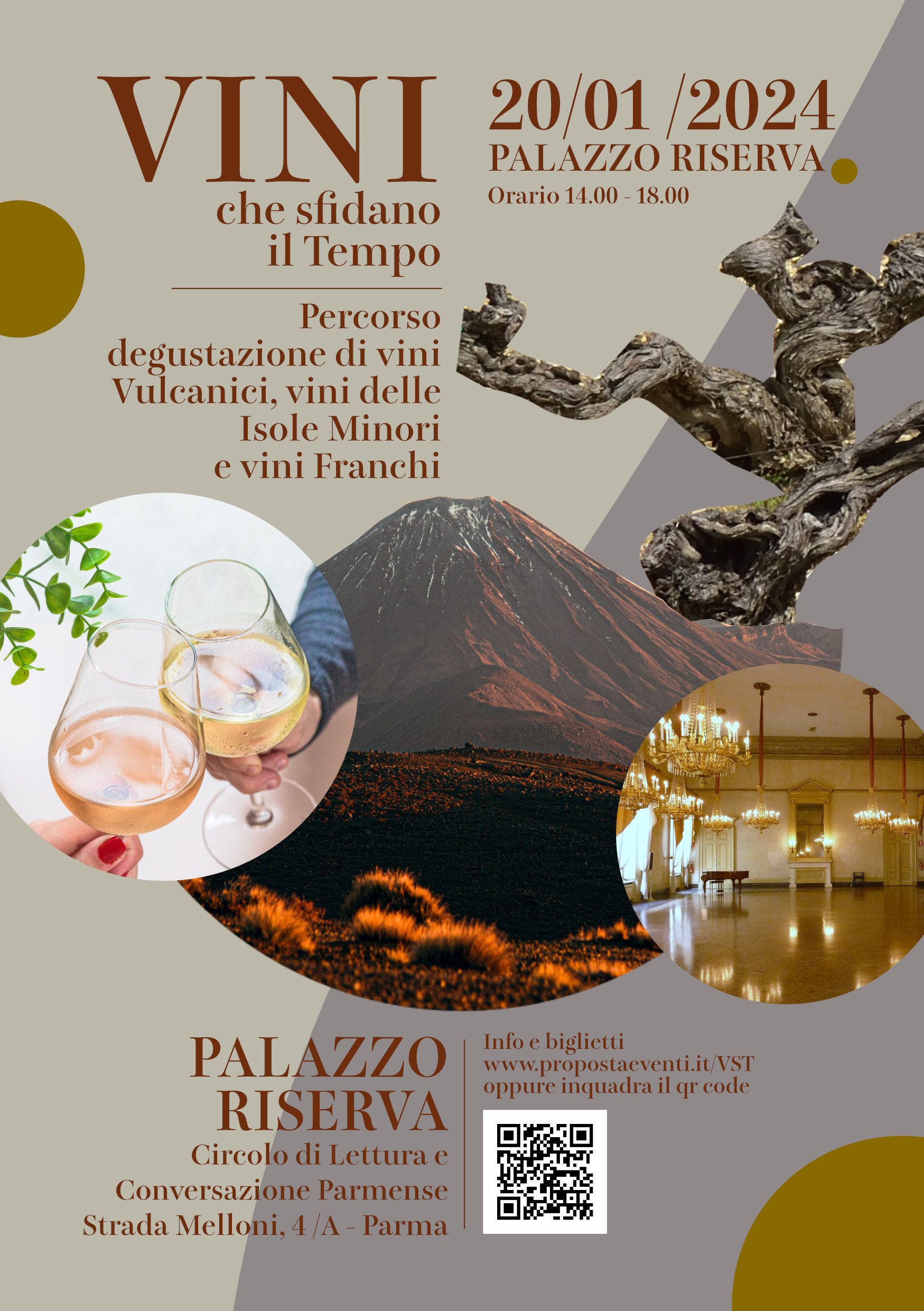 0.Proposta ViniVolantino 20 Gennaio privati