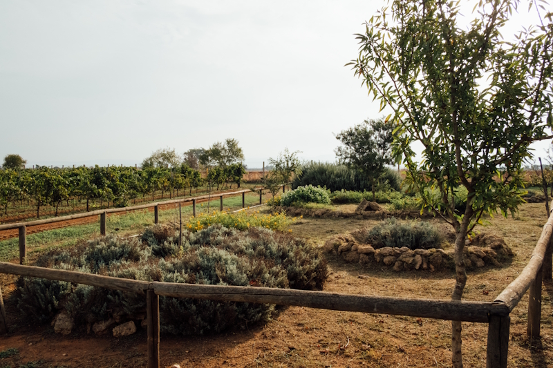 0.ST BIODIVERSITA 18