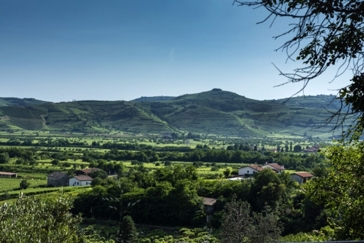 0.Soave Lessini Durello