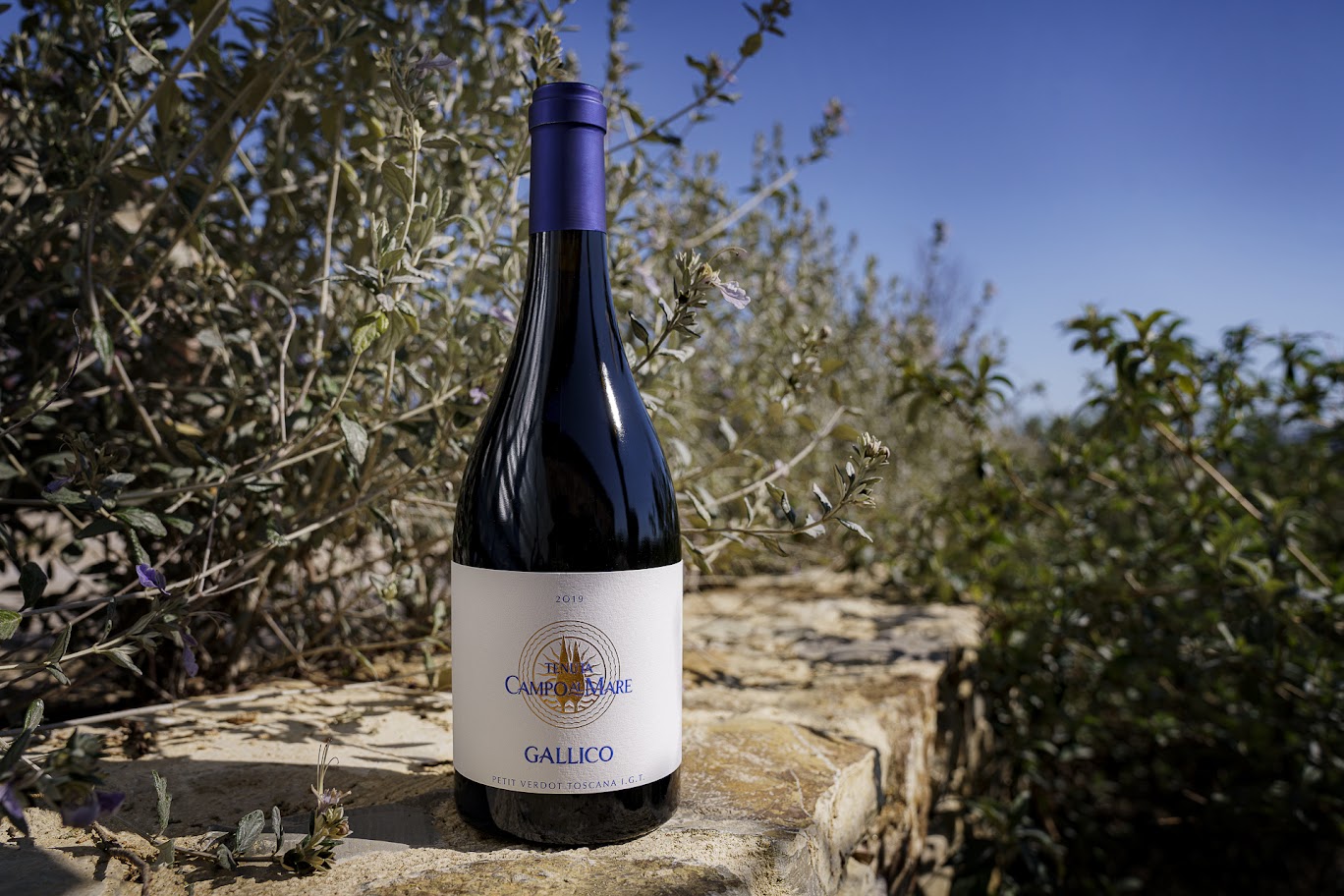 0.Tenuta Campo al Mare Gallico Petit Verdot