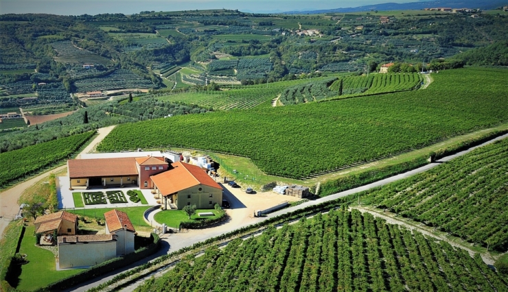 0.Tenuta SantAntonio