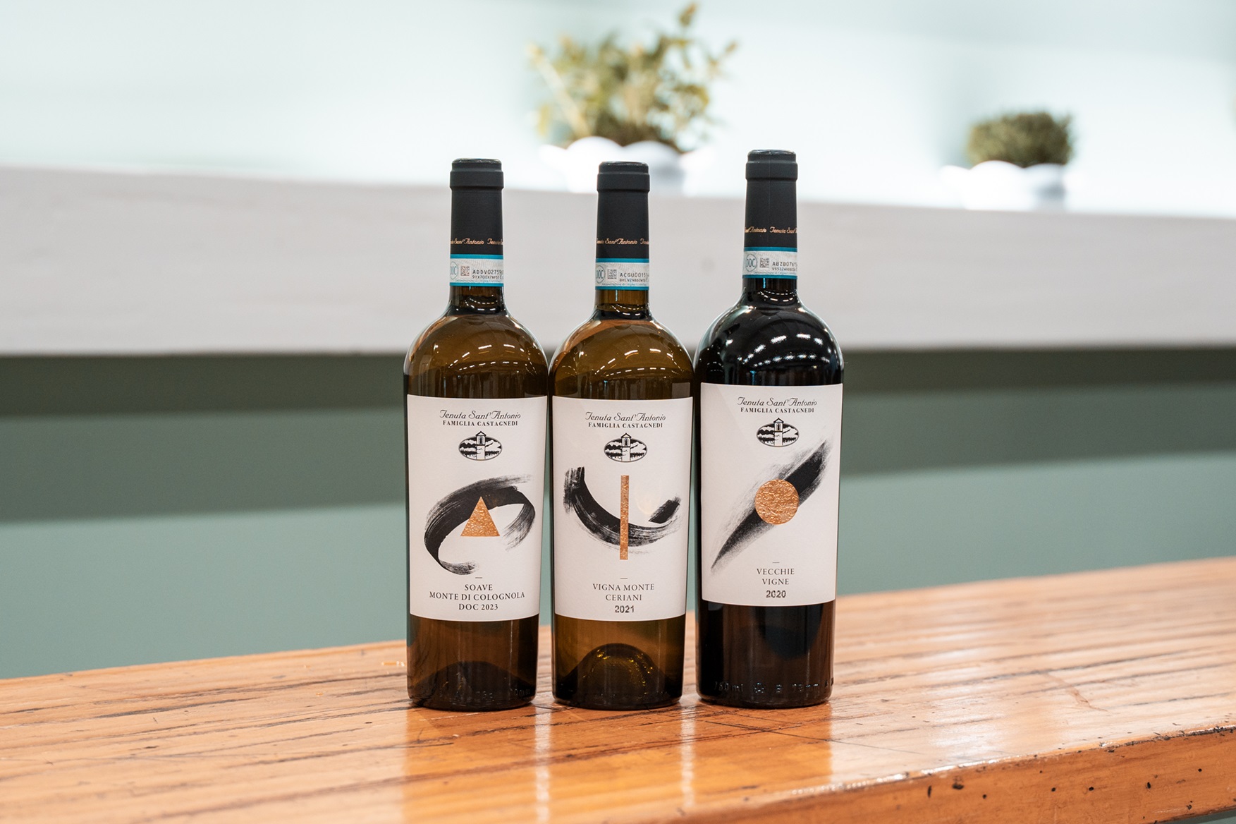 0.Tenuta SantAntonio Gamma bianchi