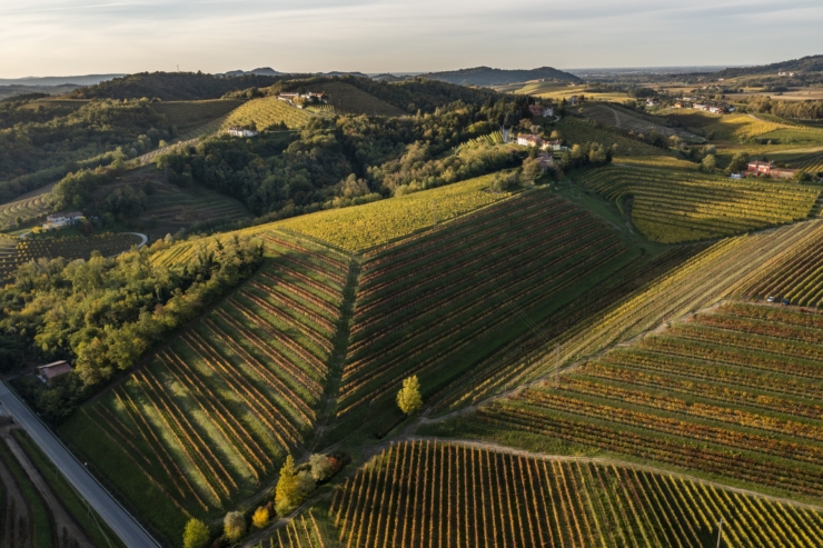 0.Zorzettig.21.03DJI 0463 HDR