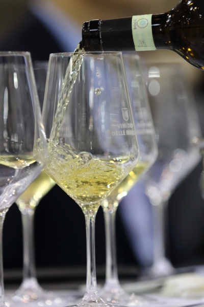 0.calice Verdicchio