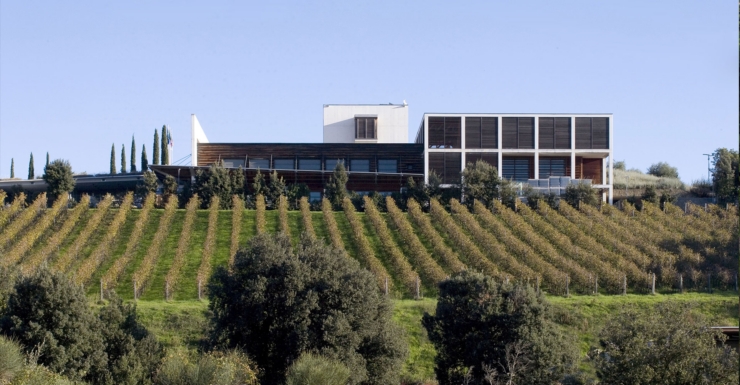0.collemassari cover