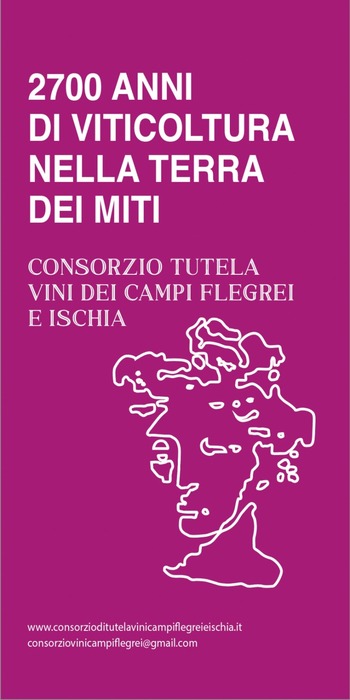 0.consorzio vini campi flegrei ischia 2024