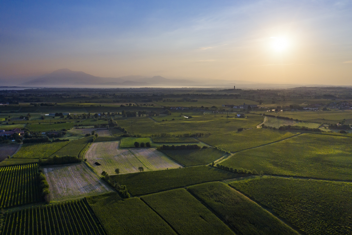 0.vigneti e lago di GARDA