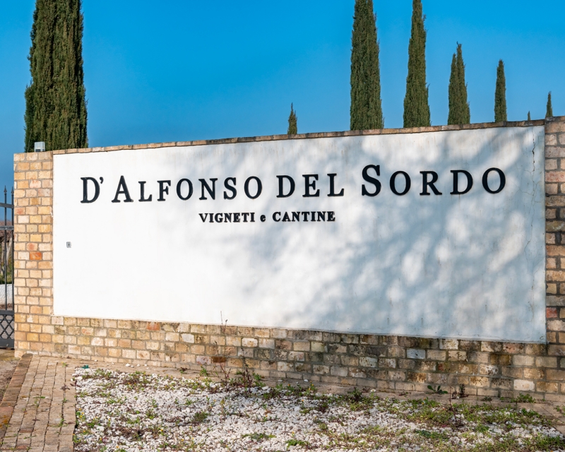 dalfonso del sordo buonapuglia