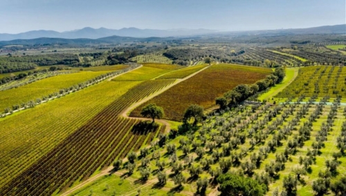 tenuta tesoro.1500x0 tiny 1024x582